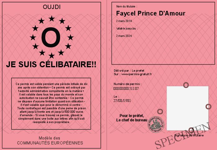Je suis celibataire tumblr